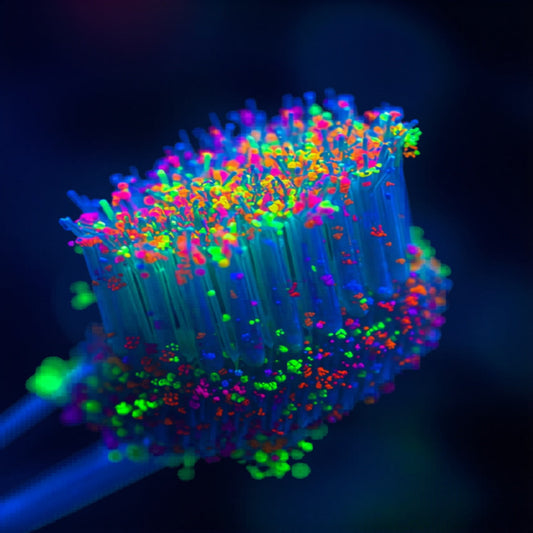 Brosse à dents envahie par des millions de bactéries fluorescentes — stérilisateur UV KSD